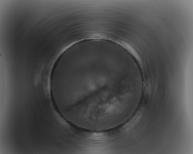 X0000089720839200706281529