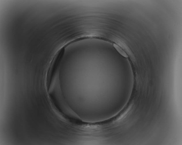 X0000089720842200706281529