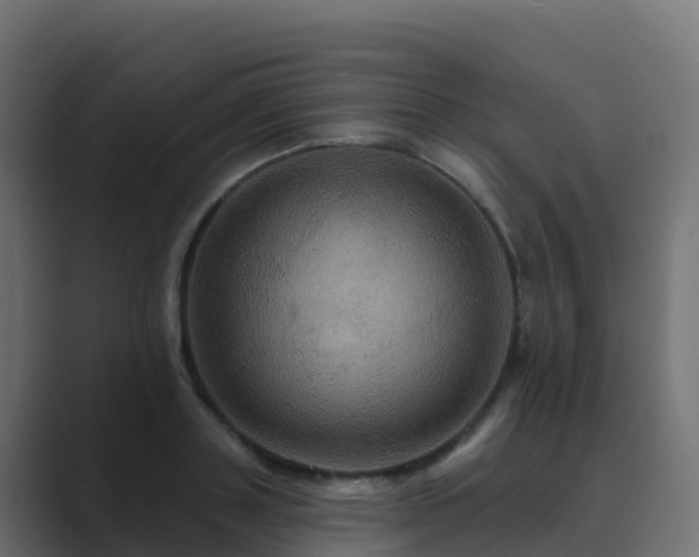 X0000089720843200706281529