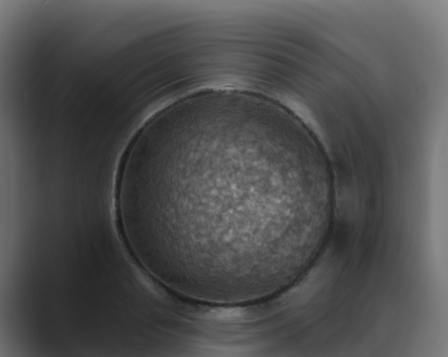 X0000089720845200706281529