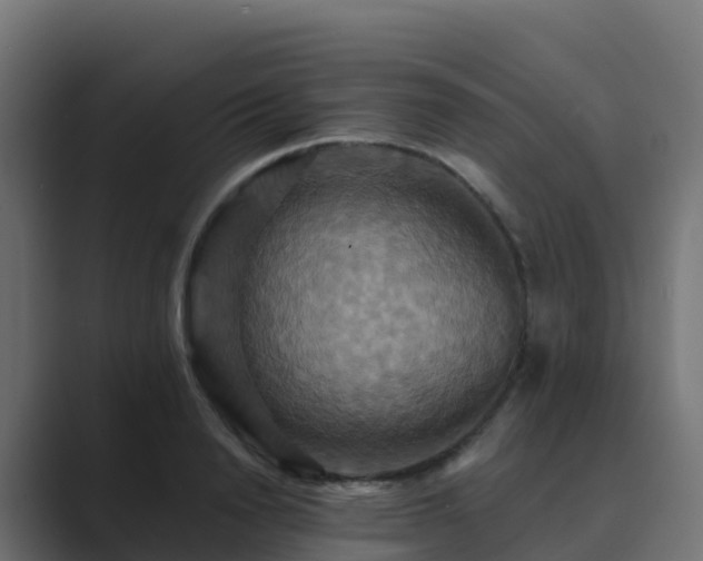 X0000089720846200706281529