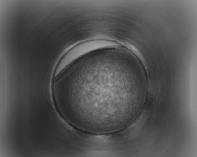 X0000089720847200706281529