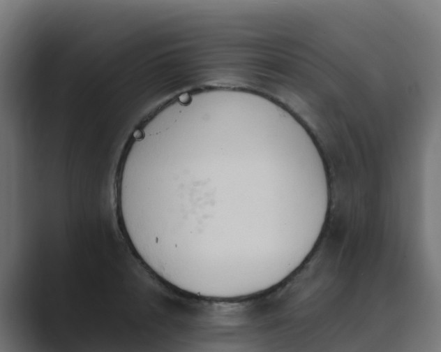 X0000089720848200706281529