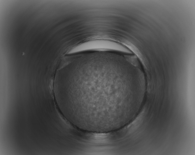X0000089720849200706281529