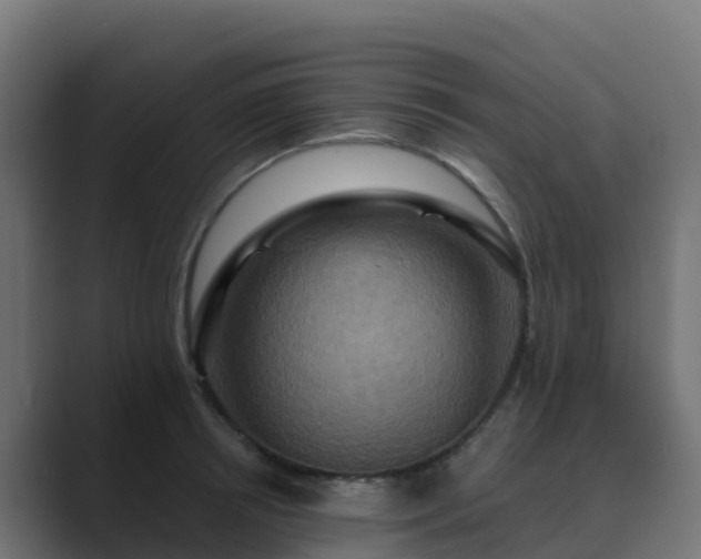 X0000089720850200706281529