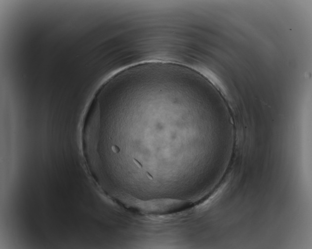 X0000089720854200706281529