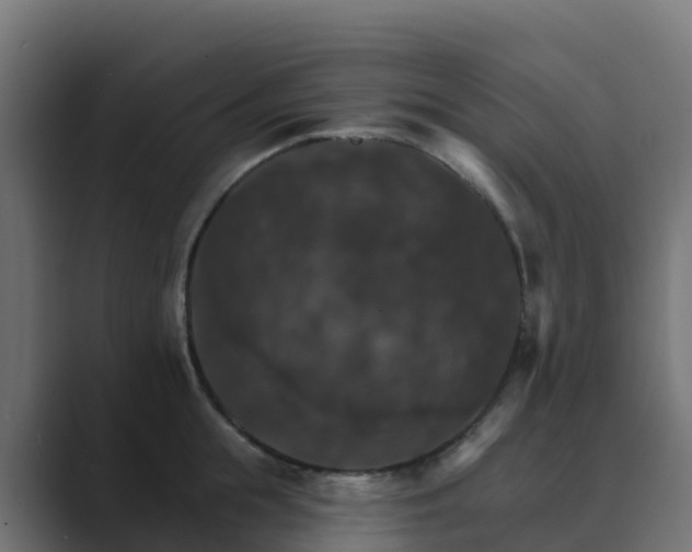 X0000089720855200706281529