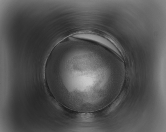 X0000089720858200706281529