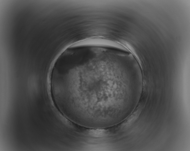 X0000089720859200706281529