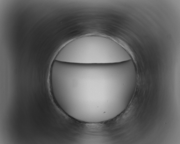 X0000089720863200706281529