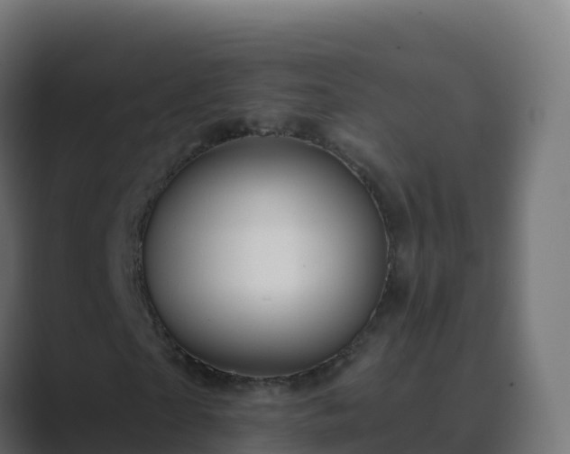 X0000089720865200706281529