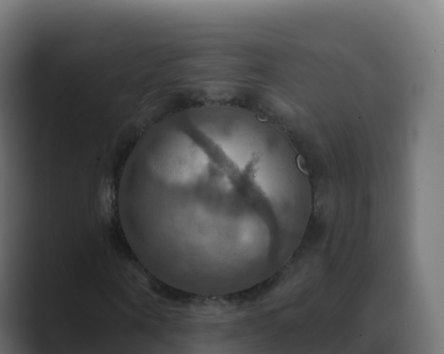 X0000089720866200706281529