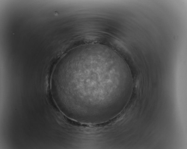 X0000089720868200706281529