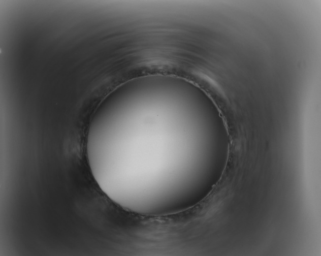 X0000089720869200706281529