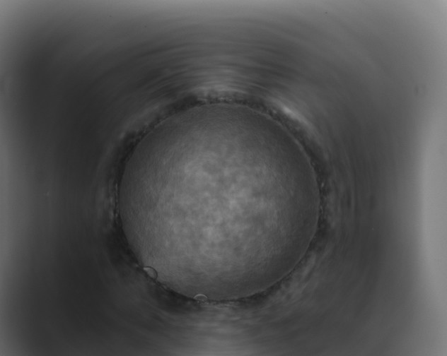 X0000089720870200706281529