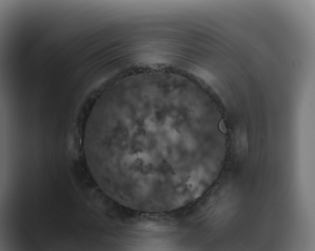 X0000089720871200706281529