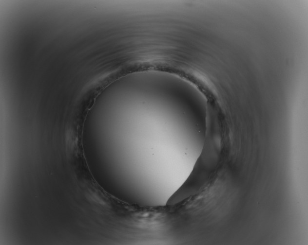 X0000089720872200706281529