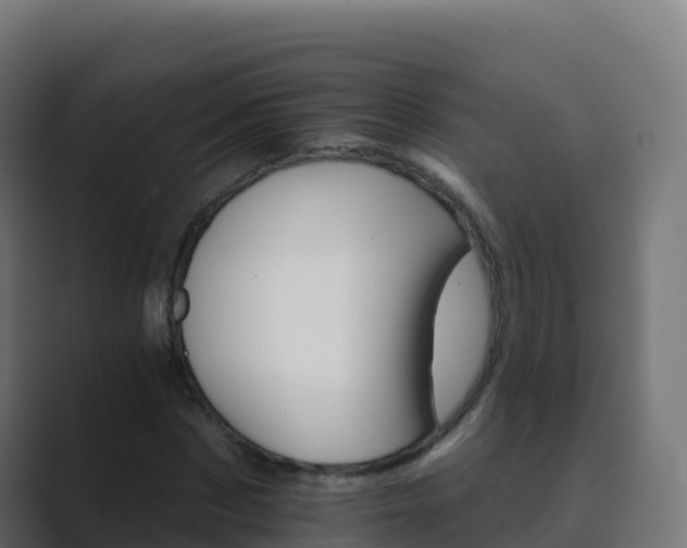 X0000089720873200706281529