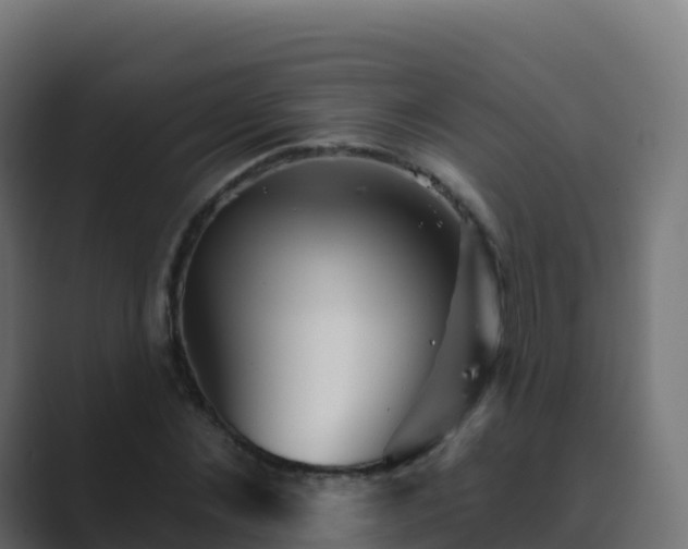 X0000089720876200706281529
