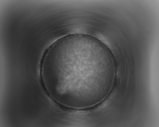 X0000089720877200706281529