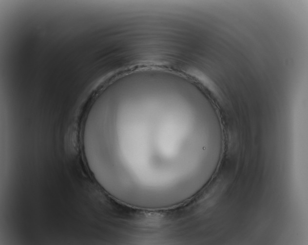 X0000089720878200706281529