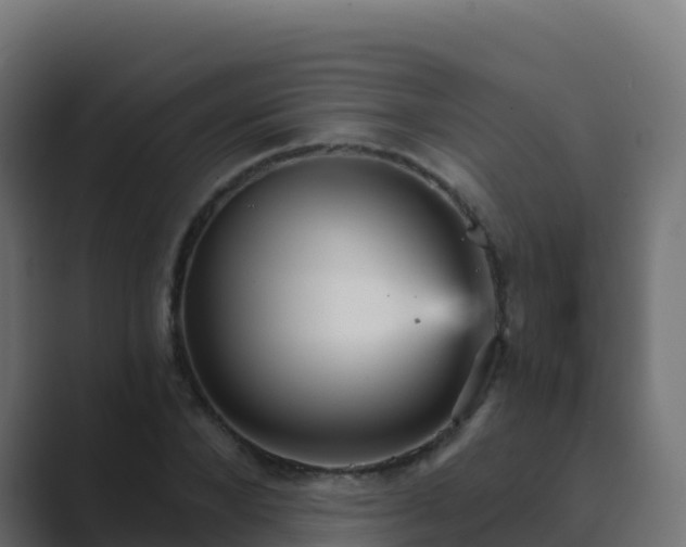 X0000089720880200706281529