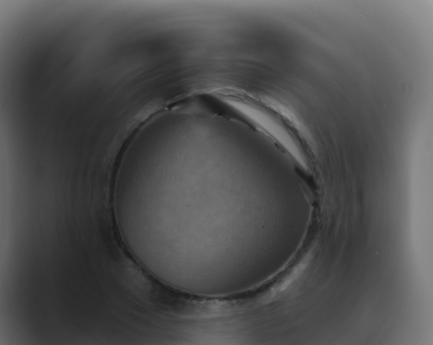 X0000089720881200706281529