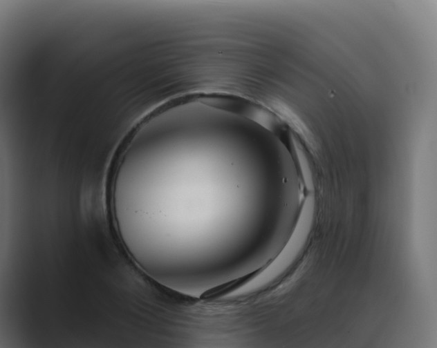 X0000089720884200706281528