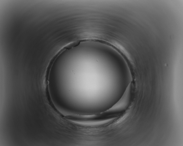 X0000089720885200706281528