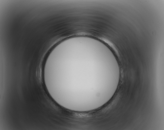 X0000089720886200706281528