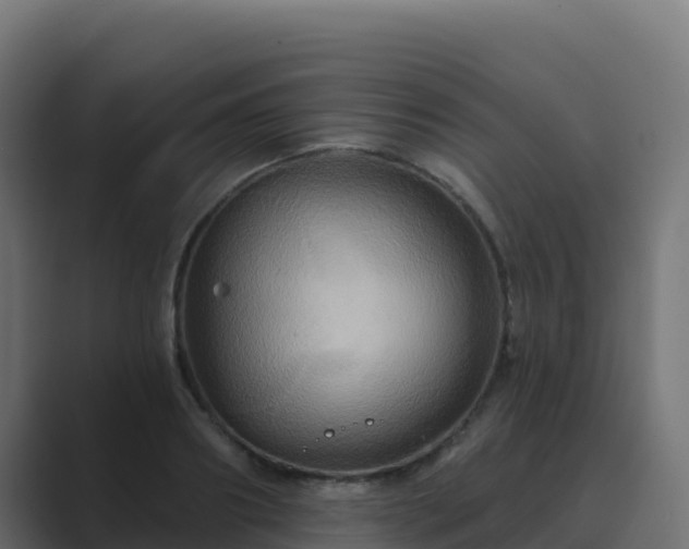 X0000089720890200706281528