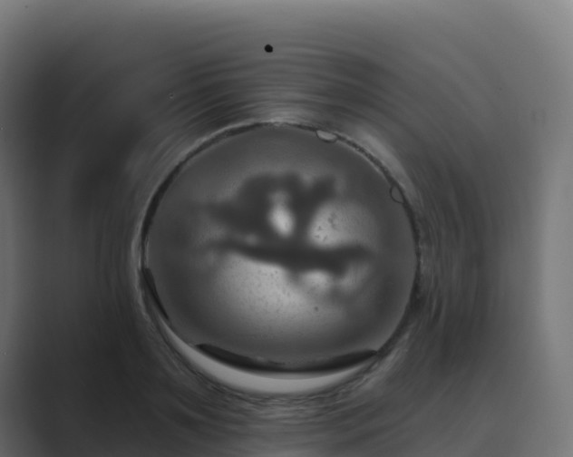 X0000089720891200706281528