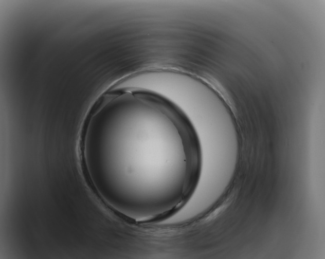 X0000089720893200706281528