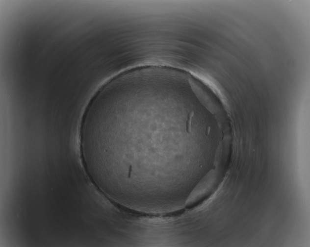 X0000089720896200706281528