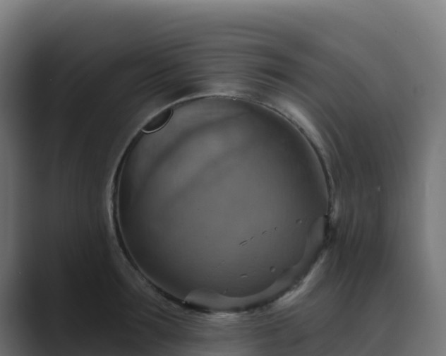 X0000089720899200706281528