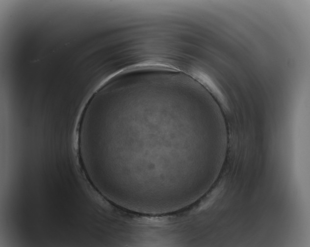 X0000089720900200706281528