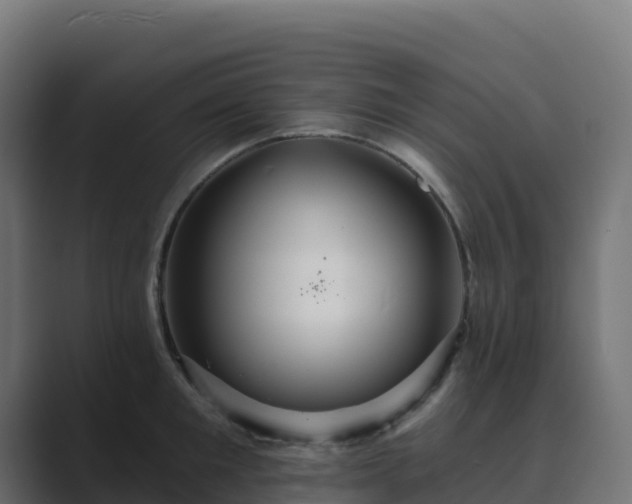 X0000089720901200706281528