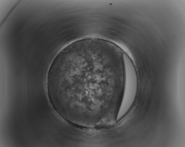 X0000089720903200706281528