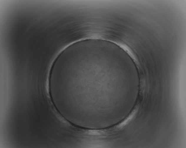 X0000089720904200706281528