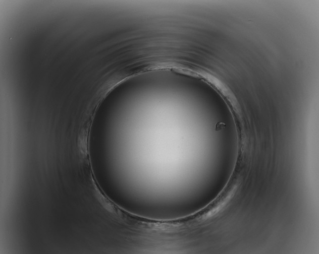 X0000089720905200706281528
