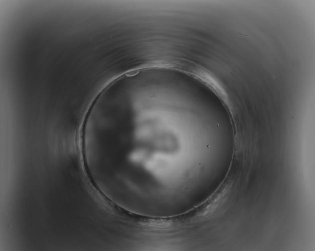 X0000089720907200706281528