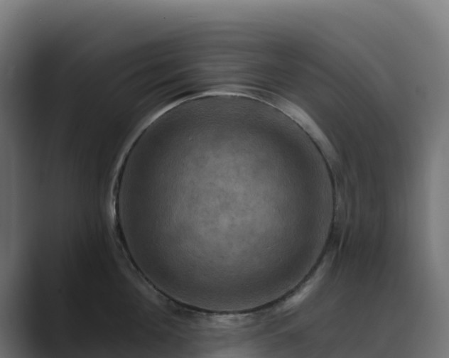 X0000089720908200706281528