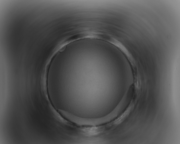 X0000089720910200706281528