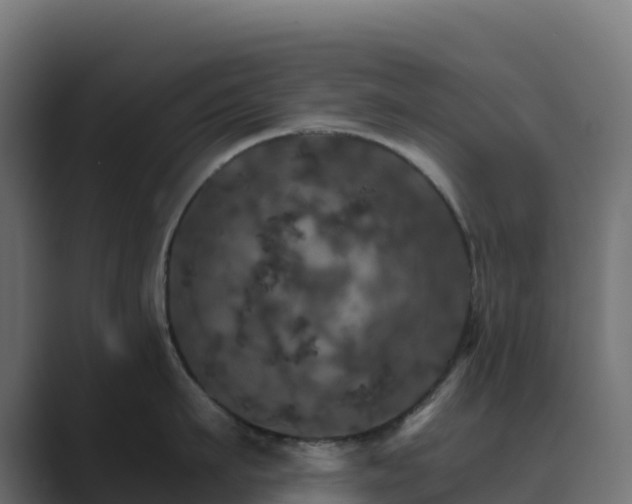 X0000089720911200706281528