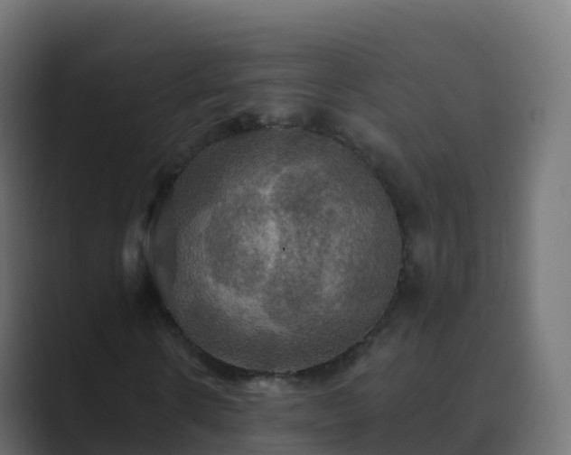 X0000089720914200706281528