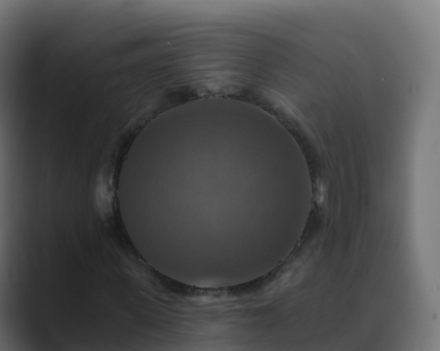 X0000089720915200706281528