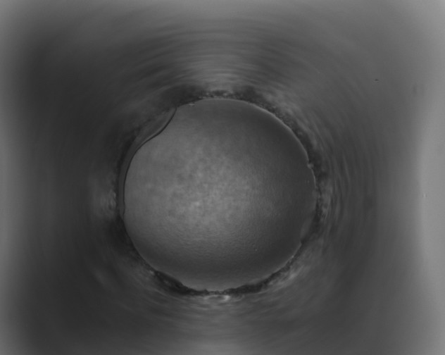 X0000089720916200706281528