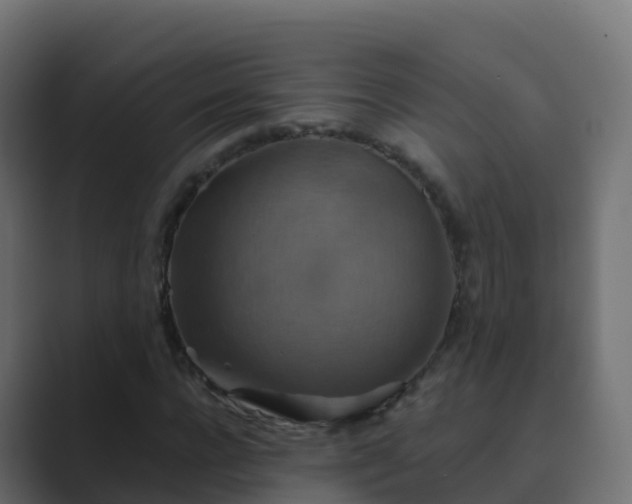 X0000089720920200706281528