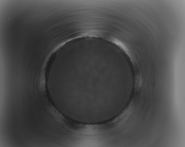 X0000089720923200706281528