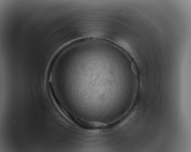 X0000089720924200706281528